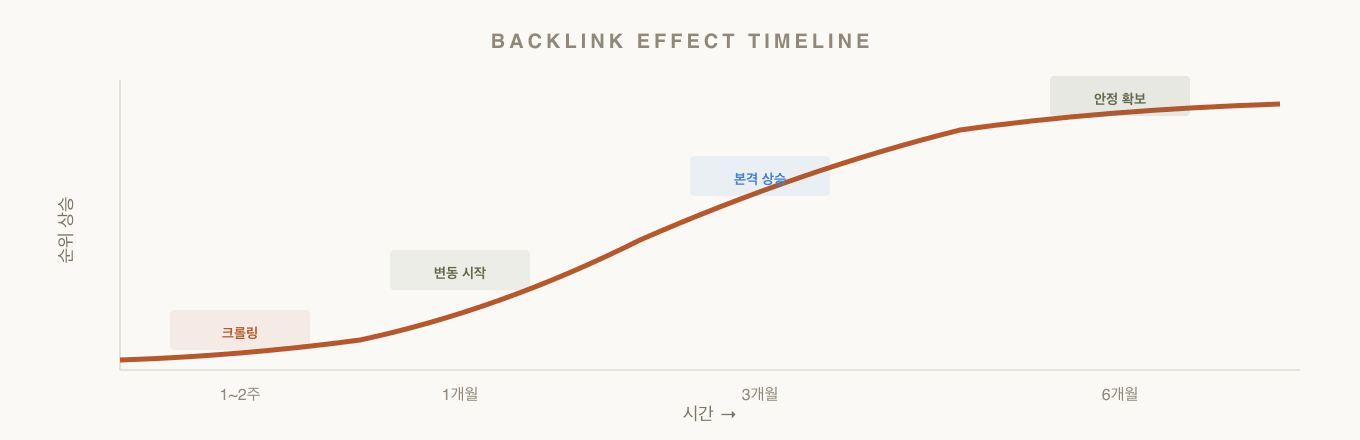 백링크 효과 타임라인 — 작업 후 1주~6개월까지의 변화 패턴
