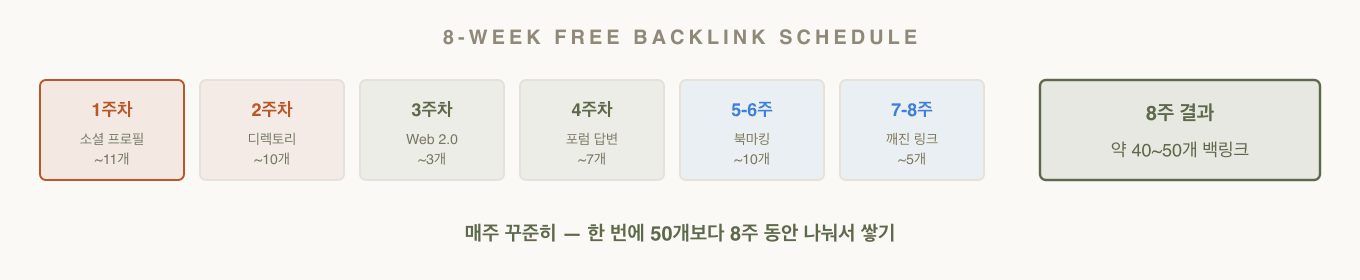 8주 무료 백링크 스케줄 — 주차별 작업과 목표 백링크 수